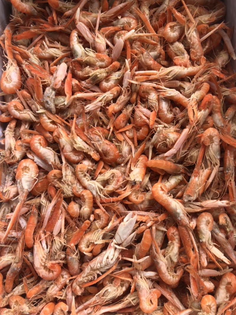狗🦐渤海湾特产好吃不贵特别新鲜美味可口