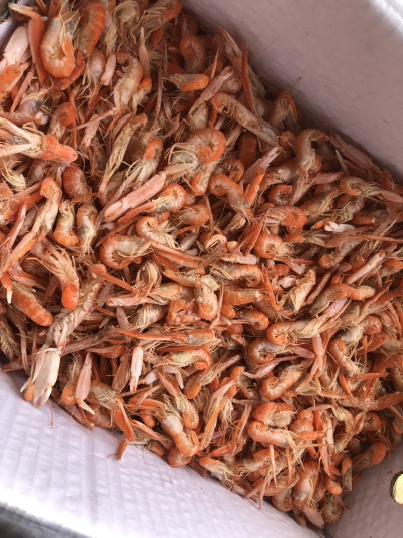 狗🦐渤海湾特产好吃不贵特别新鲜美味可口