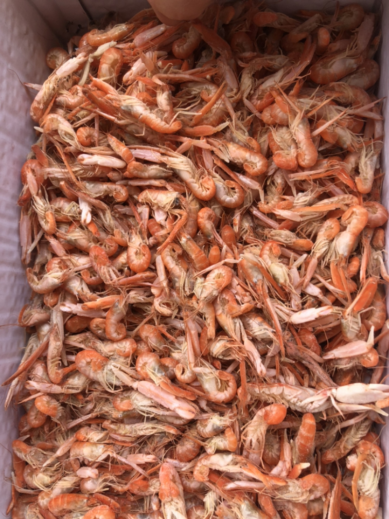 狗🦐渤海湾特产好吃不贵特别新鲜美味可口