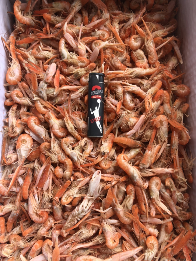 狗🦐渤海湾特产好吃不贵特别新鲜美味可口