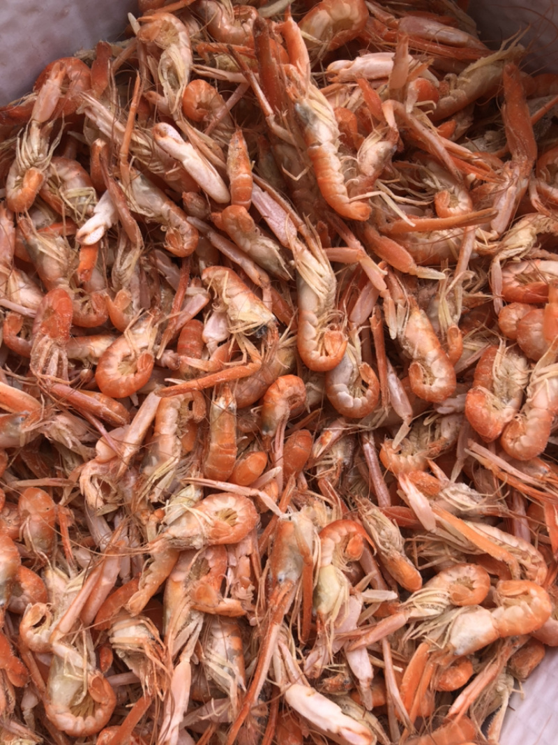 狗🦐渤海湾特产好吃不贵特别新鲜美味可口