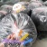 干海带丝