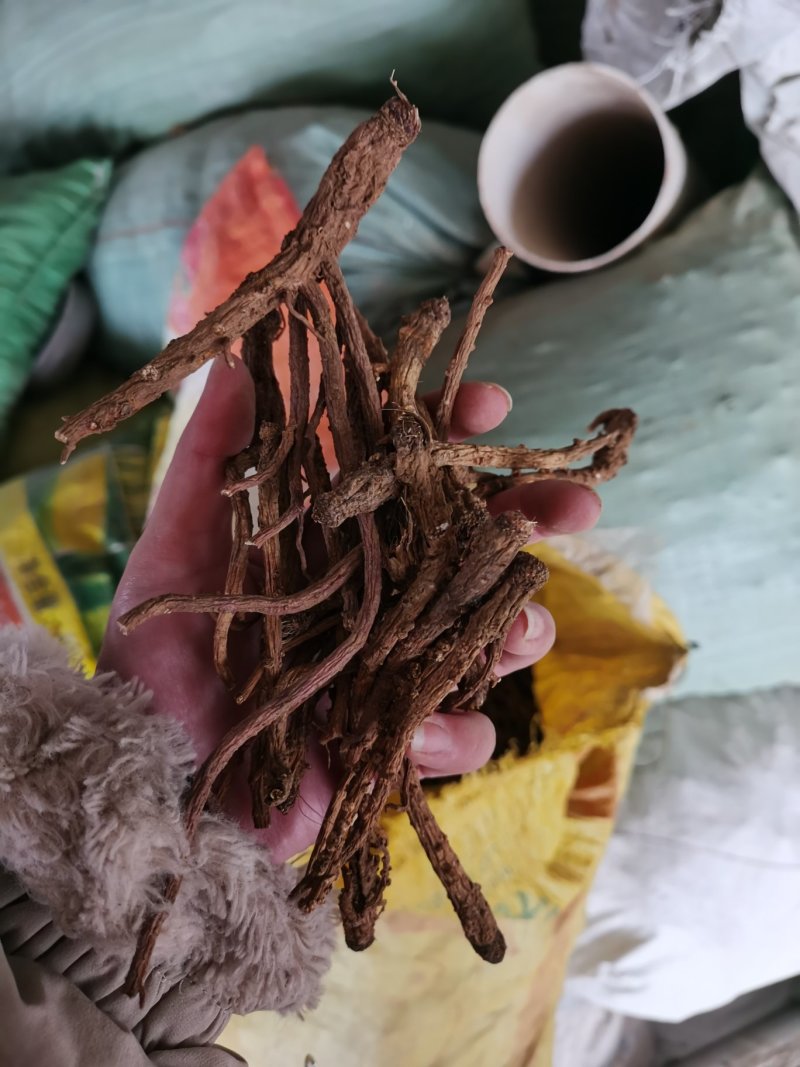 前胡全国可发货量大从优