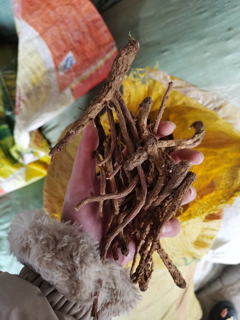 前胡全国可发货量大从优
