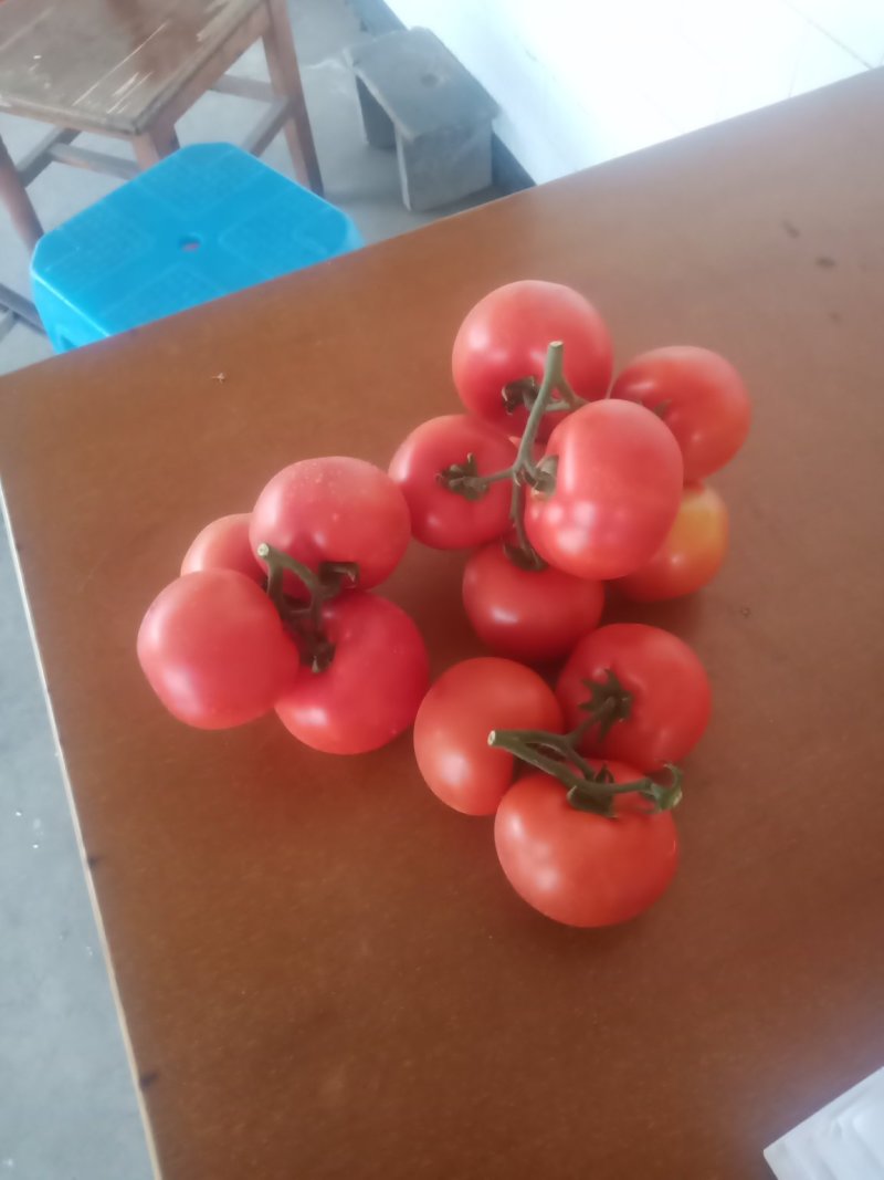 蔬菜代办