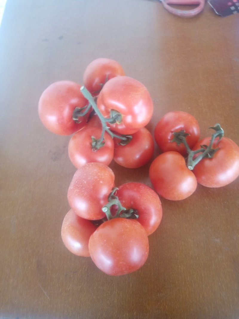蔬菜代办