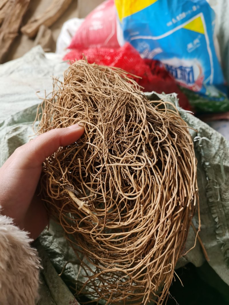 白薇（云南野生白薇品质保证量大从优全国发货）