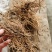 白薇（云南野生白薇品质保证量大从优全国发货）