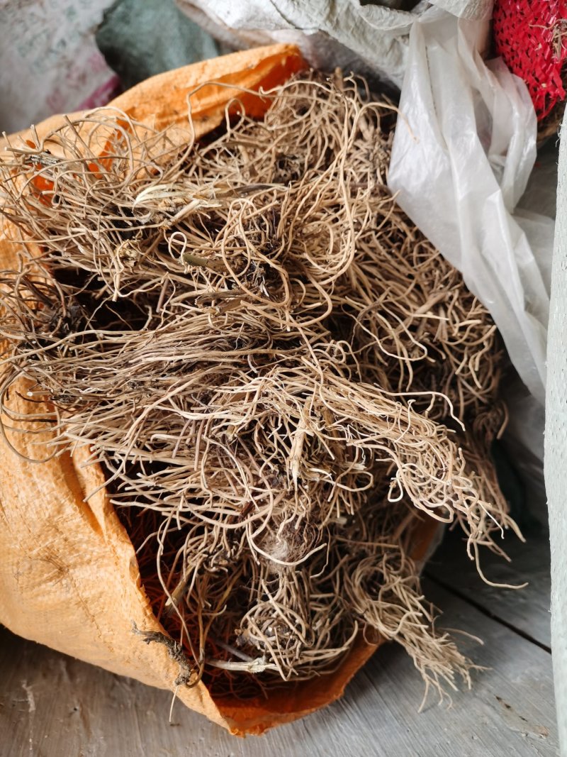 白薇（云南野生白薇品质保证量大从优全国发货）