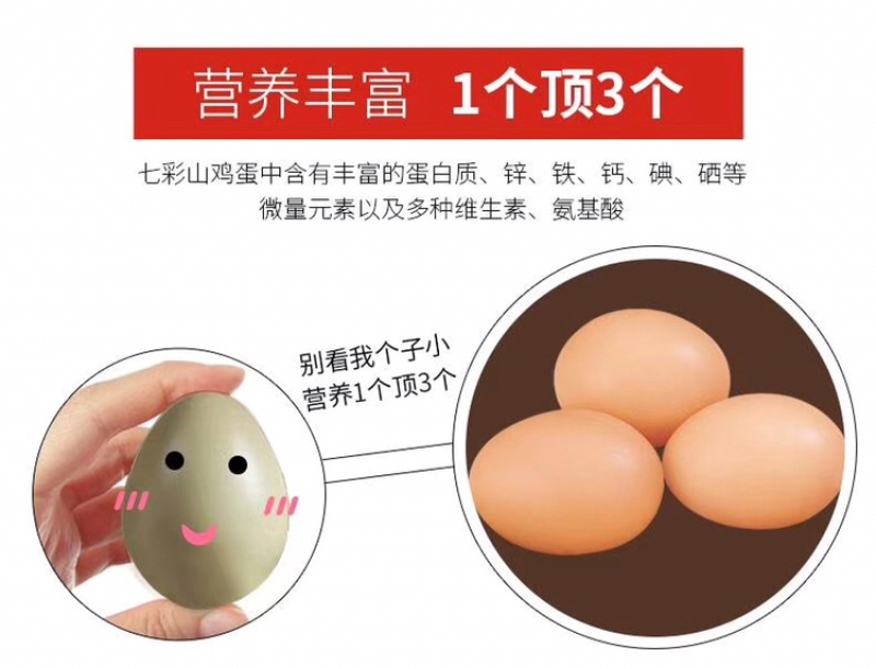 七彩山鸡蛋，七彩雉鸡蛋。