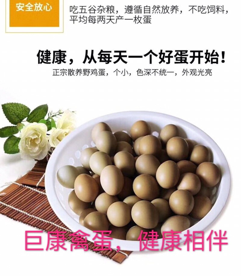 七彩山鸡蛋，七彩雉鸡蛋。
