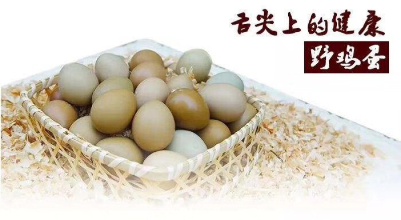 七彩山鸡蛋，七彩雉鸡蛋。