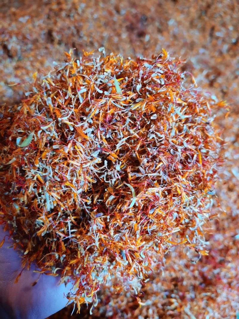 红花籽花全国发货量大从优