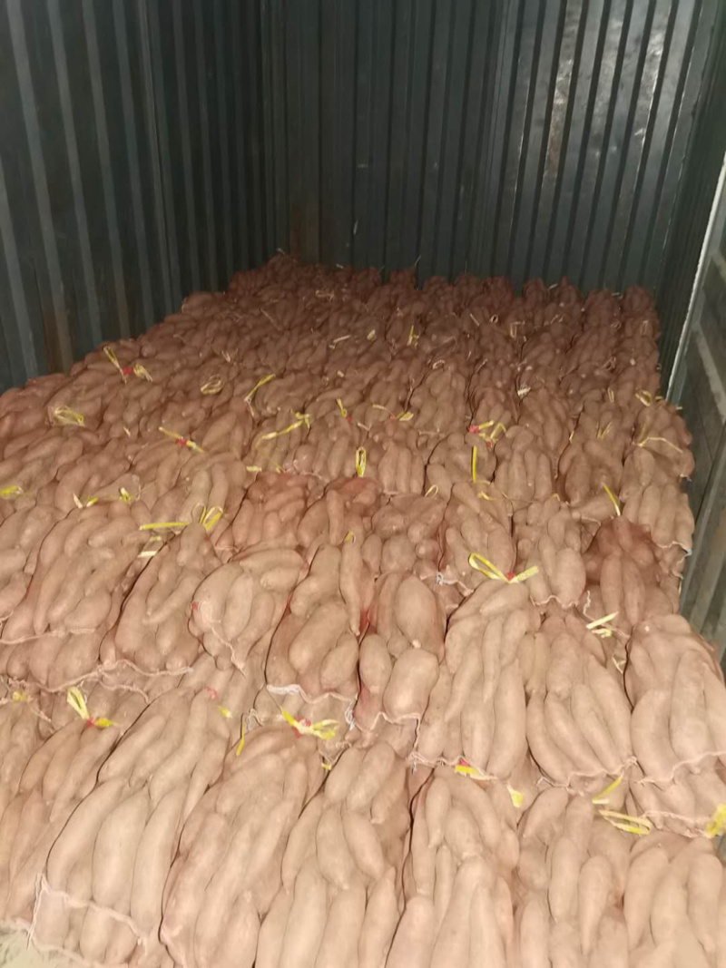 商品薯济薯26，价格不高，质量保证