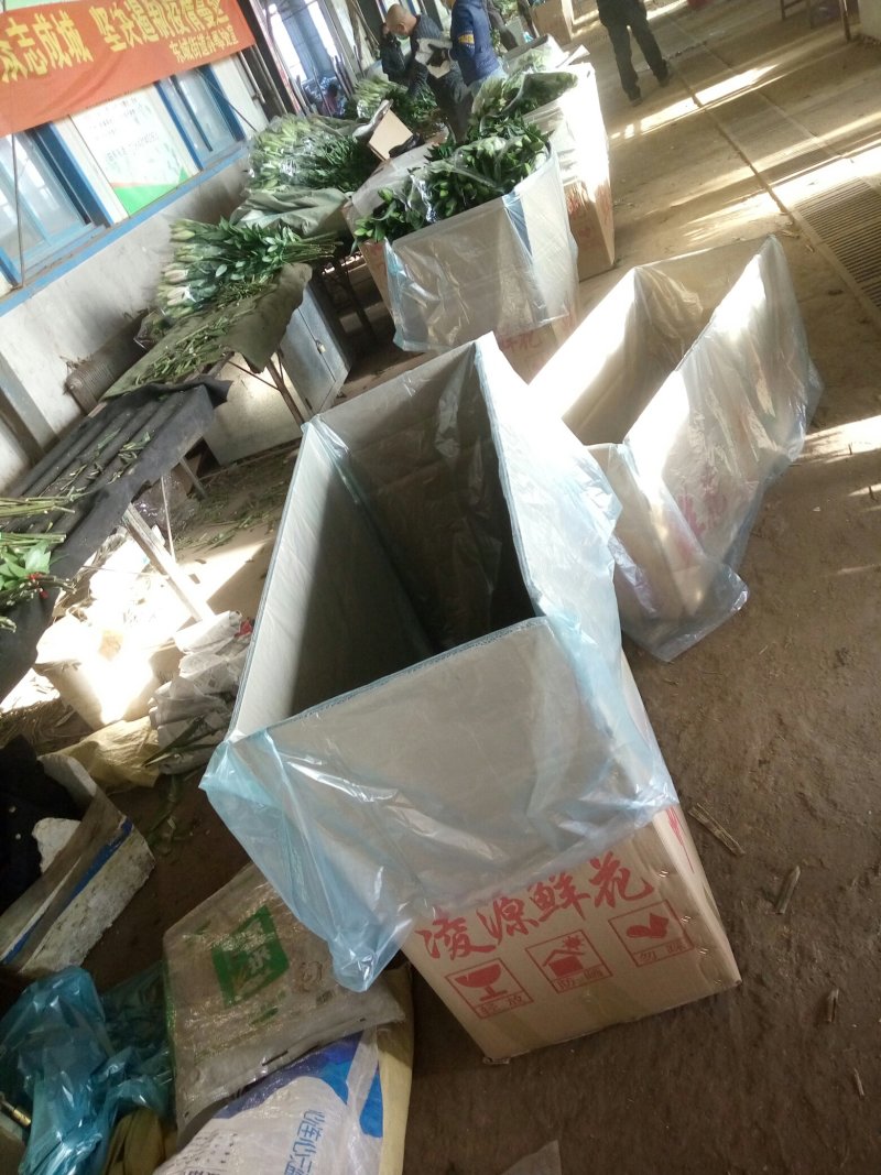 黄天霸