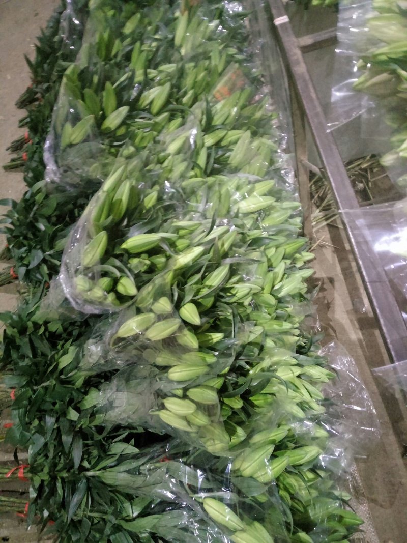 黄天霸
