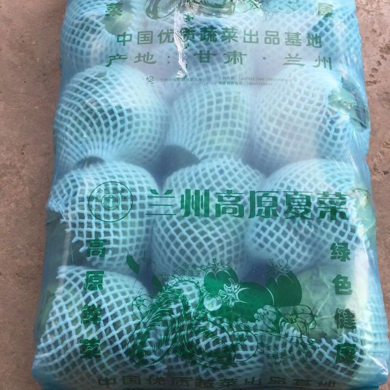 精品兰州货各种蔬菜实力代办，欢迎全国老板咨询。