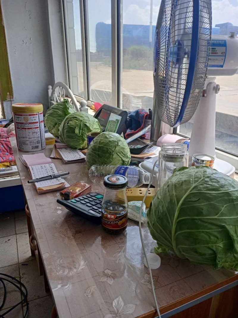 精品兰州货各种蔬菜实力代办，欢迎全国老板咨询。