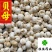 贝母伊贝母选装豆贝母圆球状0.8-1.2实物图