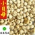 贝母伊贝母选装豆贝母圆球状0.8-1.2实物图