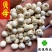 贝母伊贝母选装豆贝母圆球状0.8-1.2实物图