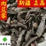肉苁蓉甜软大云新疆高含量实物图