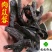 肉苁蓉甜软大云新疆高含量实物图