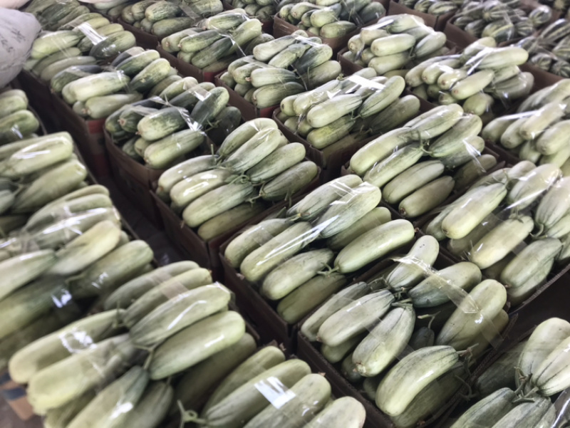 ️精品博洋61大量上市‼️产地直销️品质保证‼️
