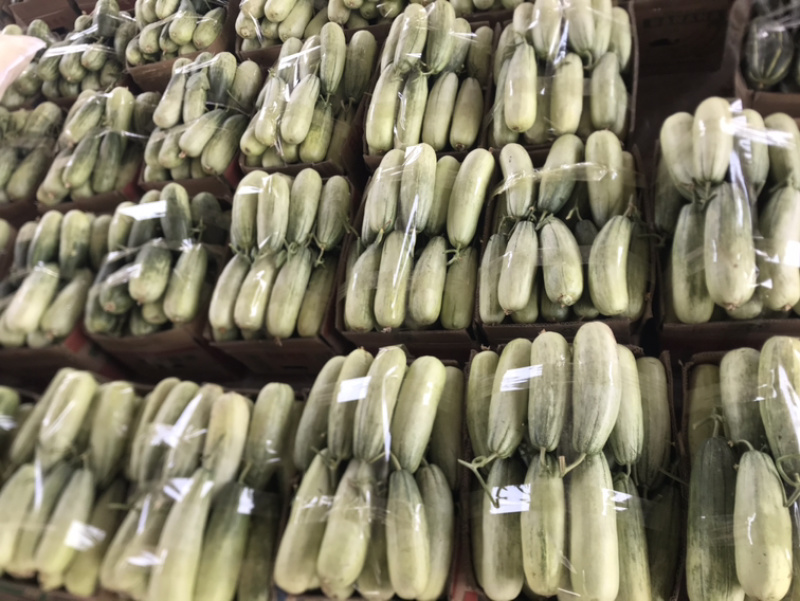 ️精品博洋61大量上市‼️产地直销️品质保证‼️