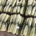 ️精品博洋61大量上市‼️产地直销️品质保证‼️
