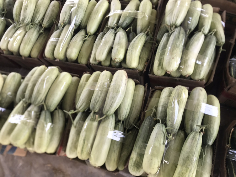 ️精品博洋61大量上市‼️产地直销️品质保证‼️