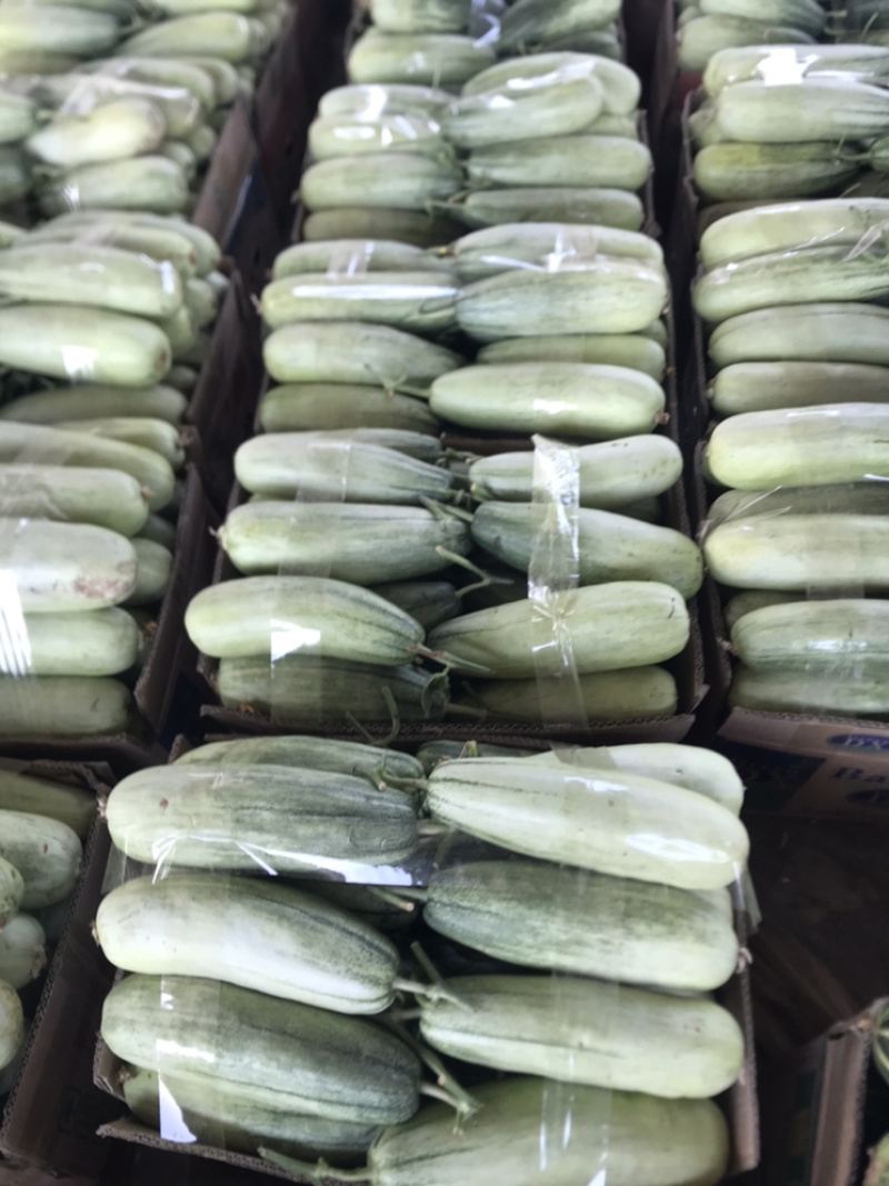 ️精品博洋61大量上市‼️产地直销️品质保证‼️