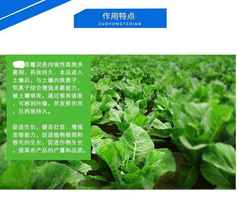 恶霉灵杀菌剂防治土传病害根腐病青枯病枯萎立枯病土壤消毒