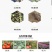 恶霉灵杀菌剂防治土传病害根腐病青枯病枯萎立枯病土壤消毒