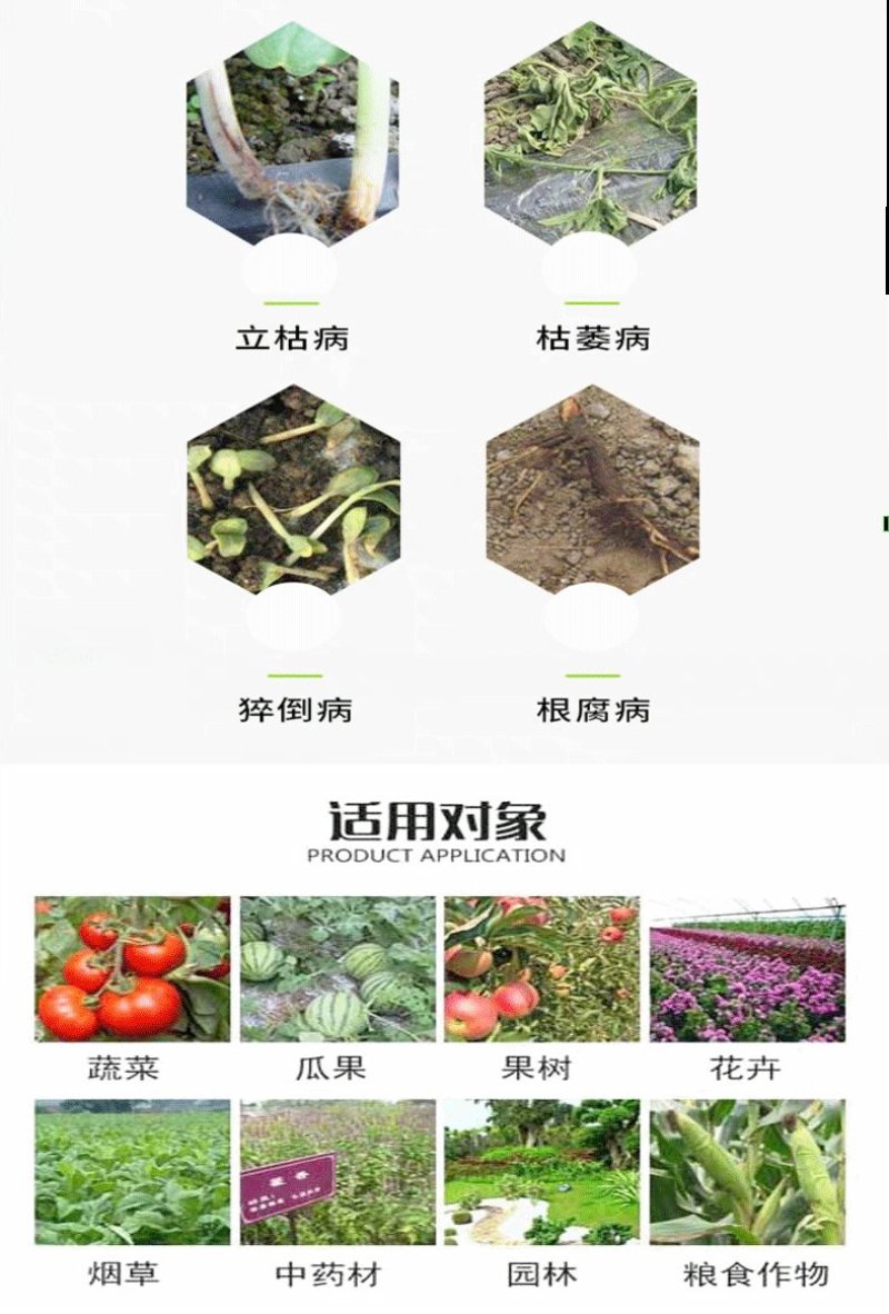 恶霉灵杀菌剂防治土传病害根腐病青枯病枯萎立枯病土壤消毒