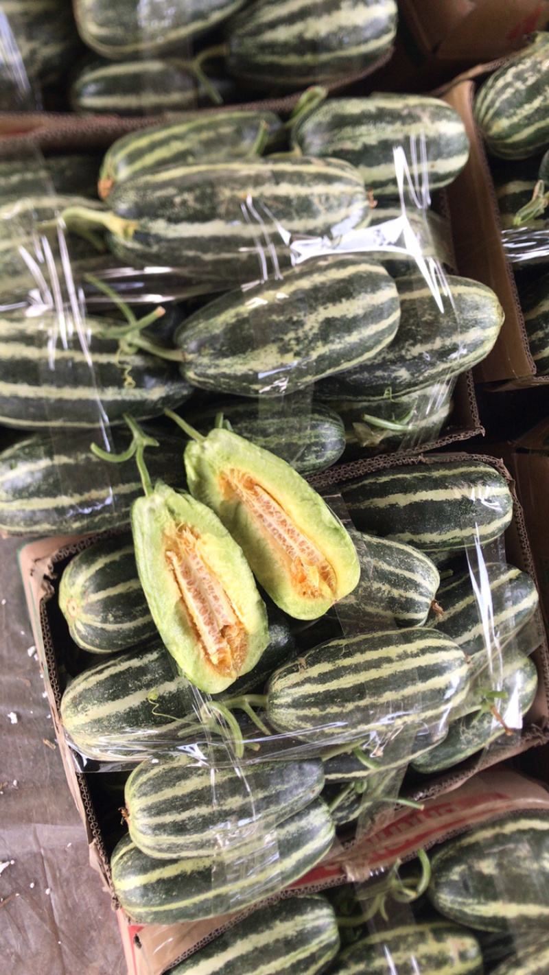 精品博洋9号大量上市‼️产地直销品质保证‼️