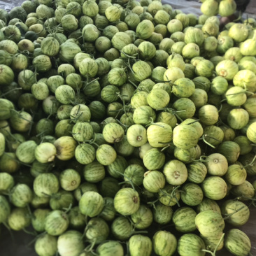 ‼️精品头茬博洋55火爆热销中‼️