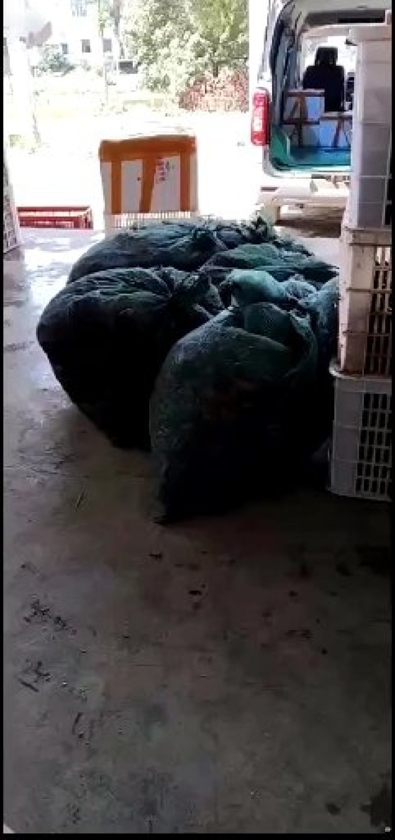 监利龙虾，红遍天下！产量第一市，质量保障，规格齐全可定制