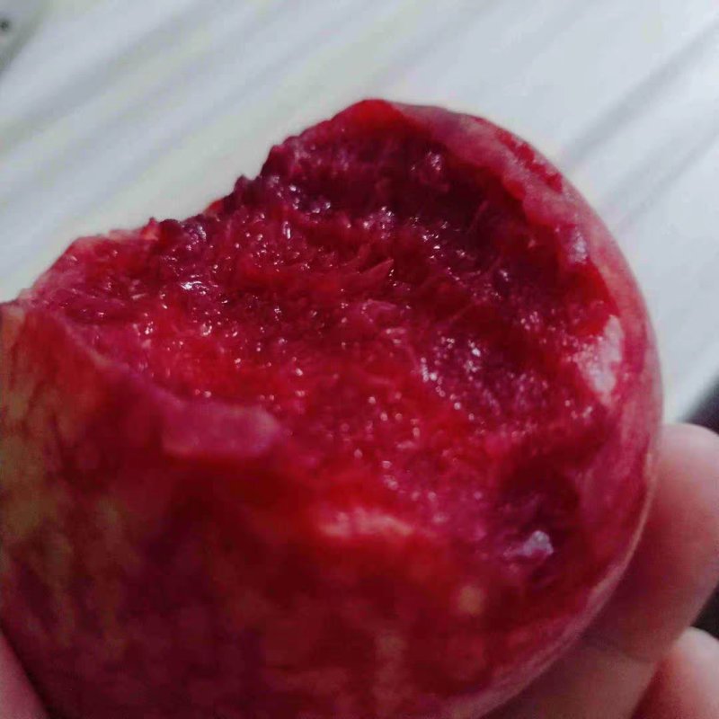 湖北血桃离核老树水蜜桃一件代发供应电商微商平台