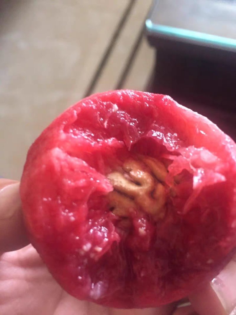 湖北血桃离核老树水蜜桃一件代发供应电商微商平台