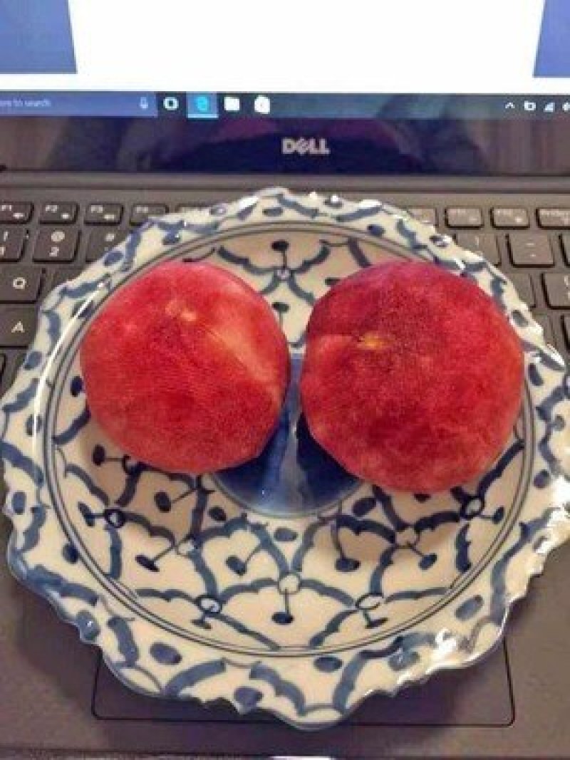 湖北血桃离核老树水蜜桃一件代发供应电商微商平台