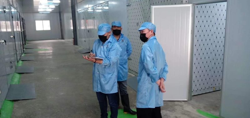 广西桂林倒蒸红薯干软糯香甜零添加工厂直卖常年大量货源直供