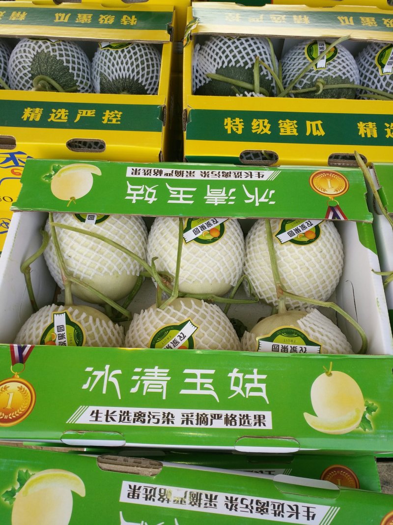 诚信代办