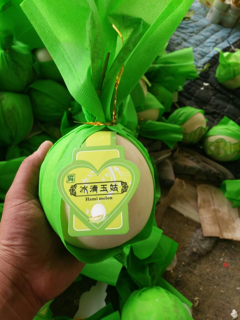 诚信代办