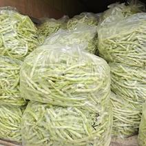 平度市崔家集镇精品芸豆开始大量上市中欢迎采购