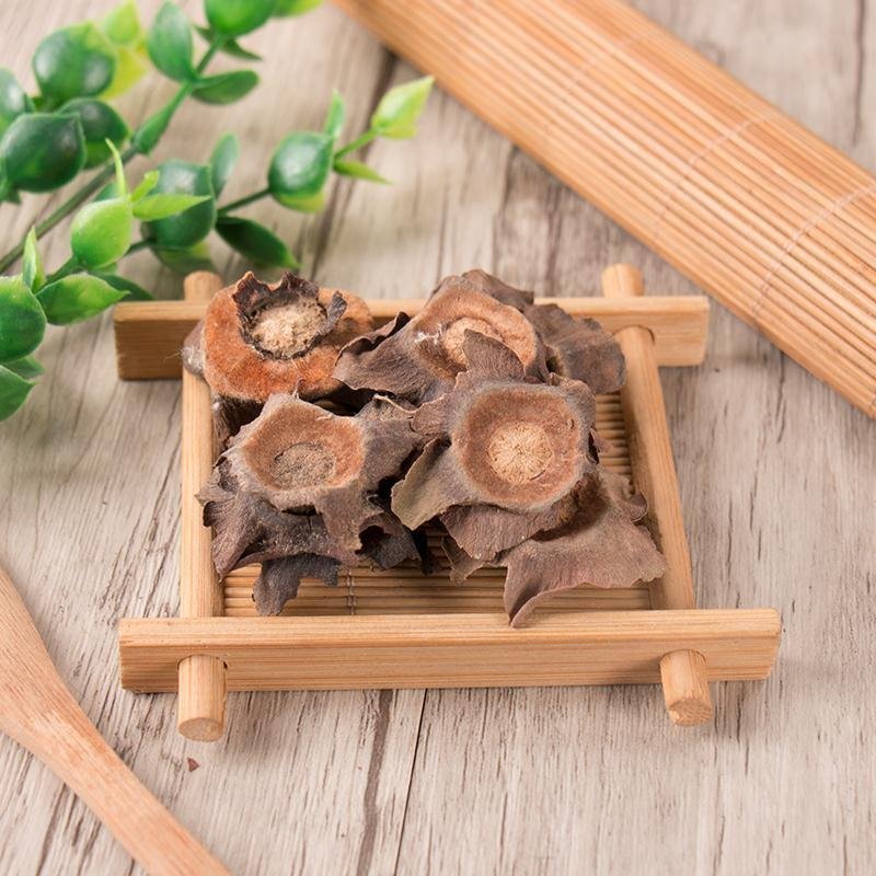 柿蒂柿子把柿子蒂柿丁柿钱各种中药材