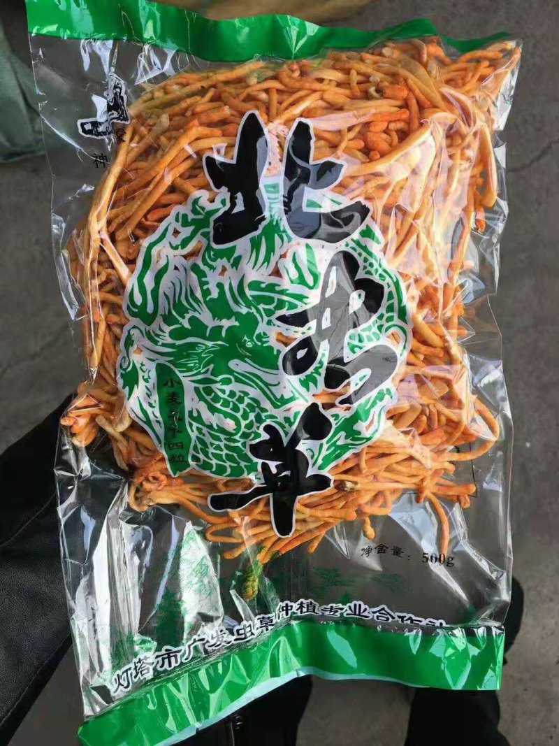 【鲜草】【李大人村】产地批发东北土特产，虫草花干货，鲜