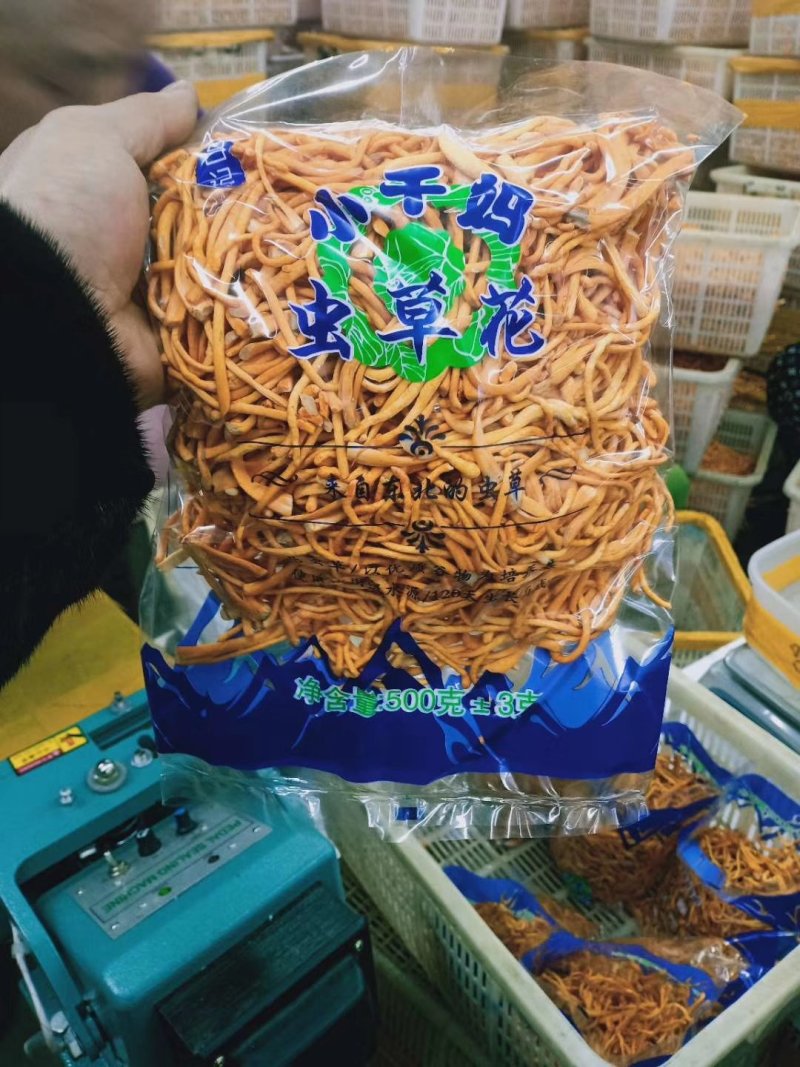【鲜草】【李大人村】产地批发东北土特产，虫草花干货，鲜