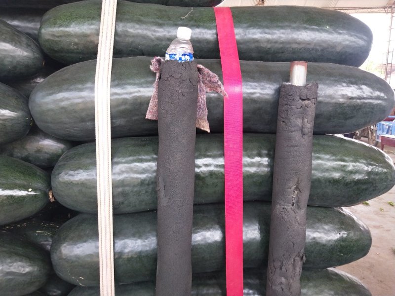 精品大棚黑皮冬瓜货源充足品质保障咨询有优惠
