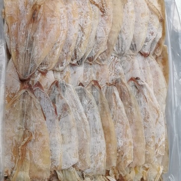 2AAAA，烧烤鱿鱼，芥末鱿鱼，精品
